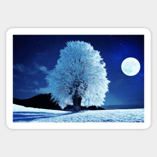 Moonlit Winter Night Sticker